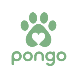 Pongo